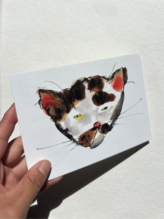 A6 postcard featuring a vivid hand draw watercolour illustration of a cartoon ugly cat.