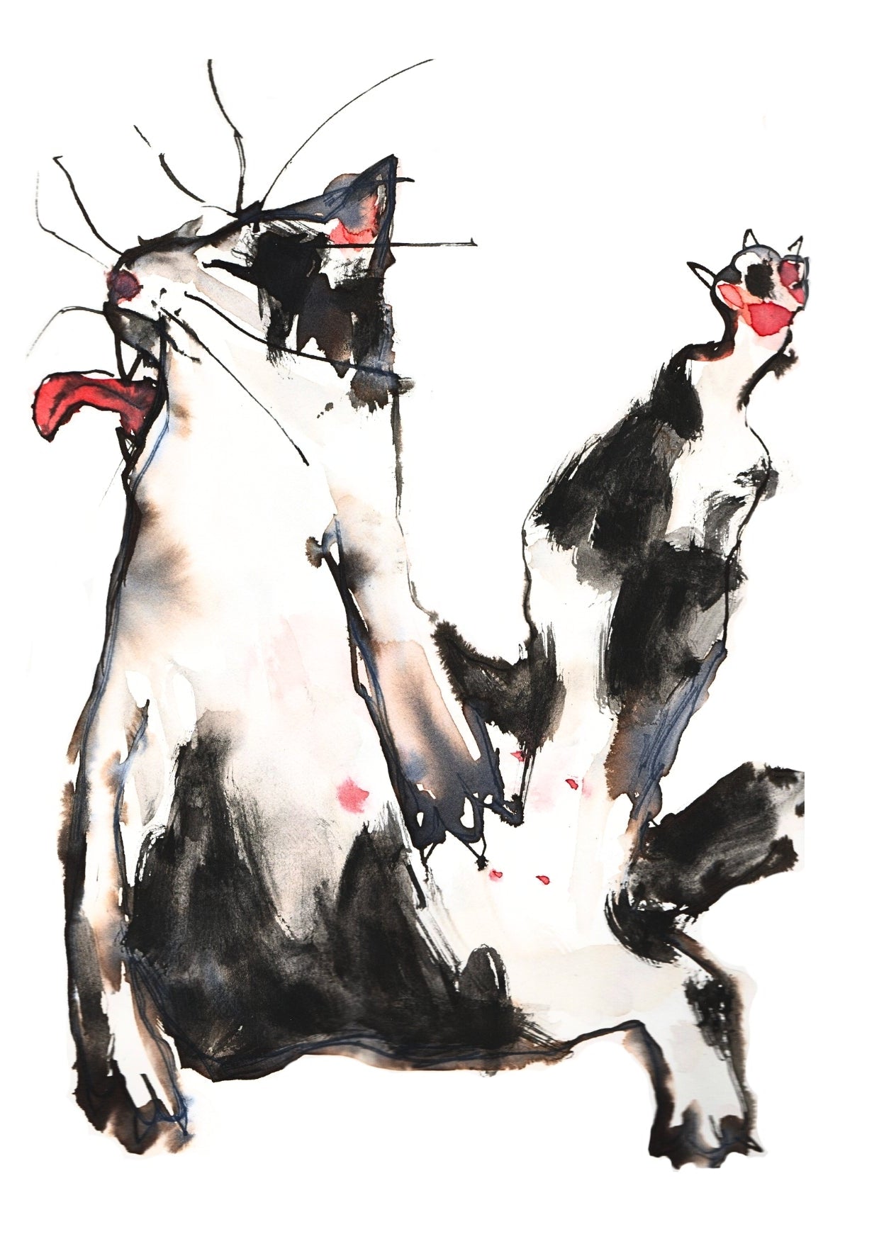 A watercolor painting of a black and white cat lying on its back, rendered with expressive ink-like brushstrokes and small red accents on a plain white background.