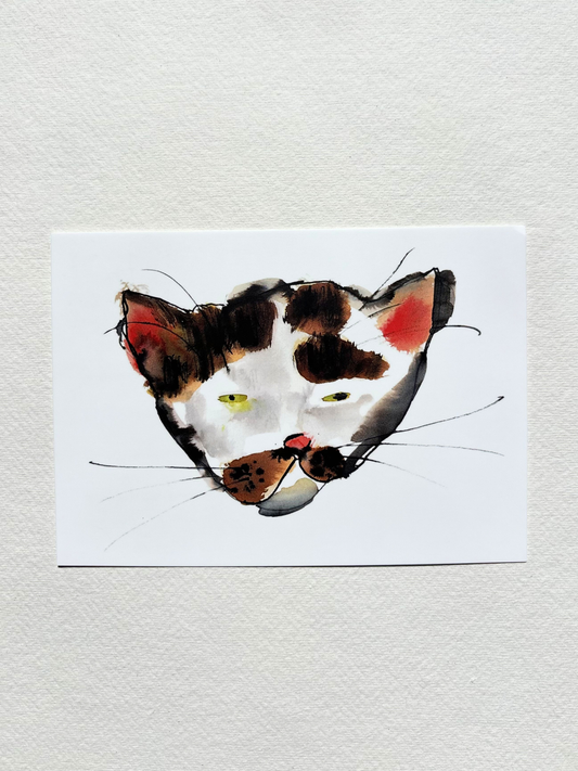A6 postcard featuring a vivid hand draw watercolour illustration of a cartoon ugly cat.